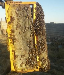 photo_2023-06-28_04-32-33